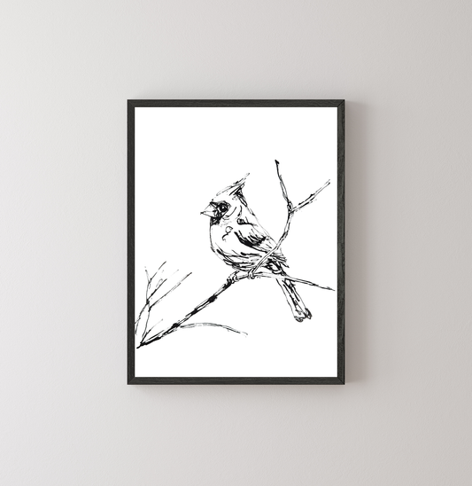 Cardinal
