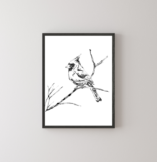 Cardinal
