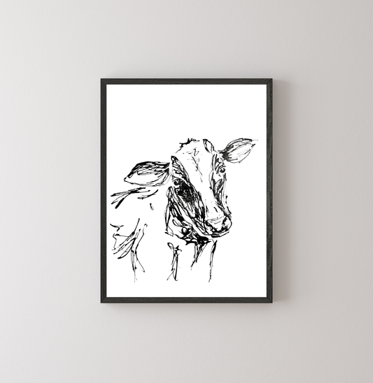 Curious Cow