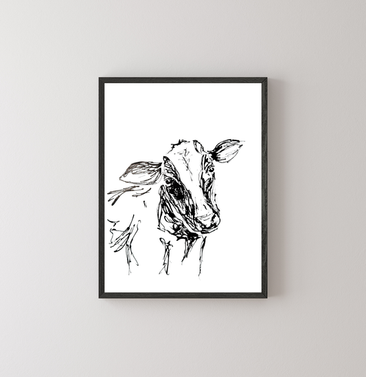 Curious Cow