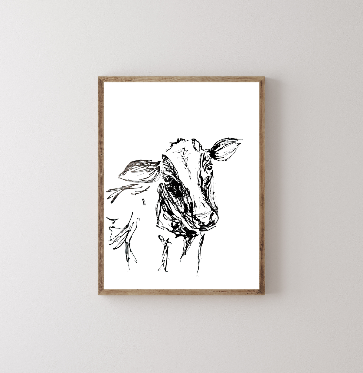 Curious Cow