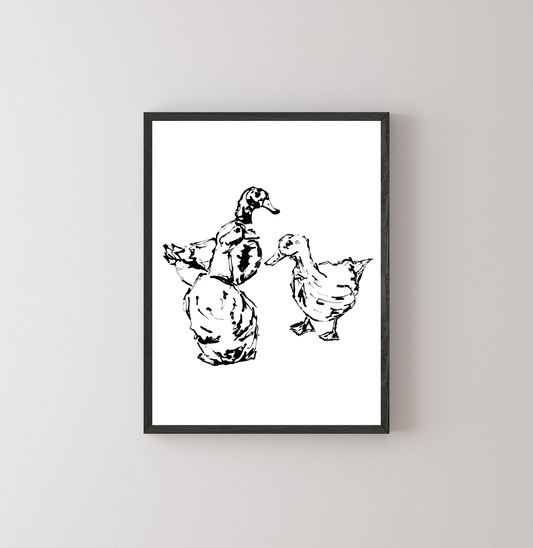Ducks